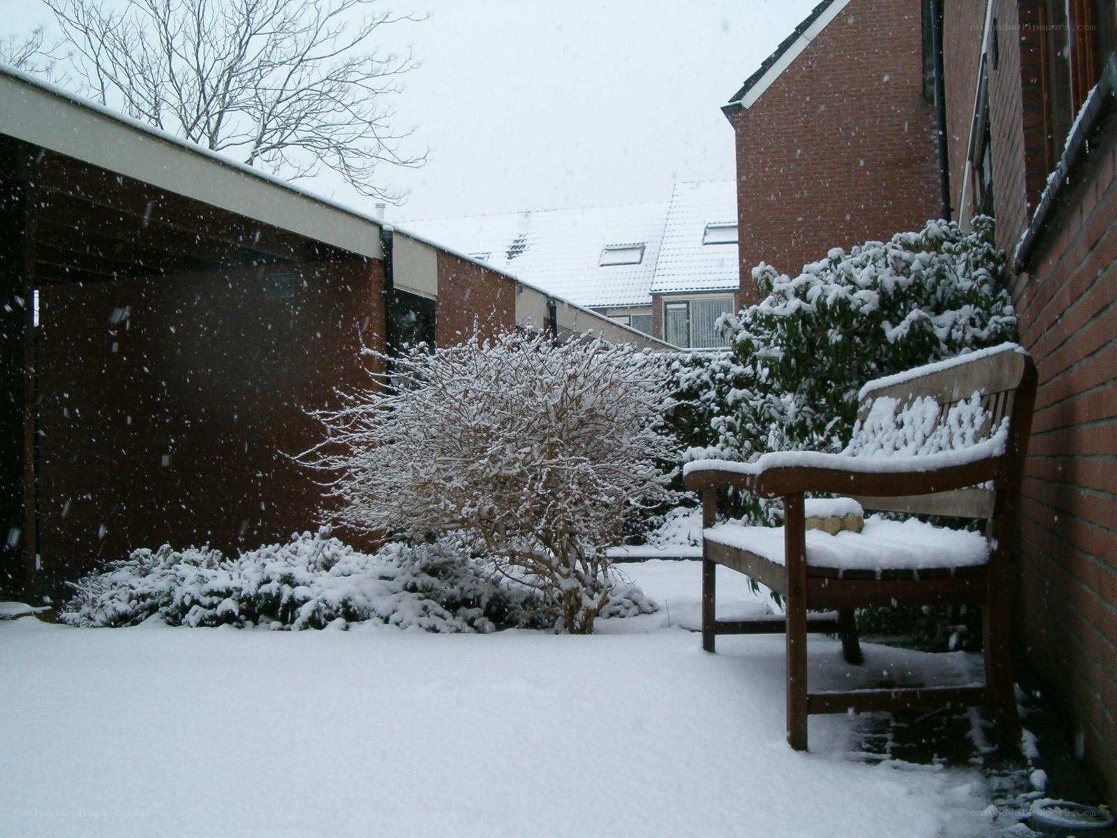 Snowy courtyard bench