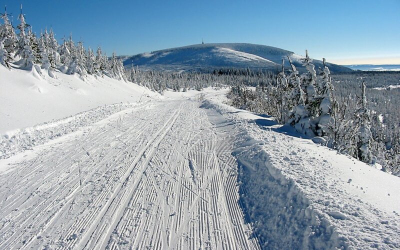 Snowy cross-country ski trail