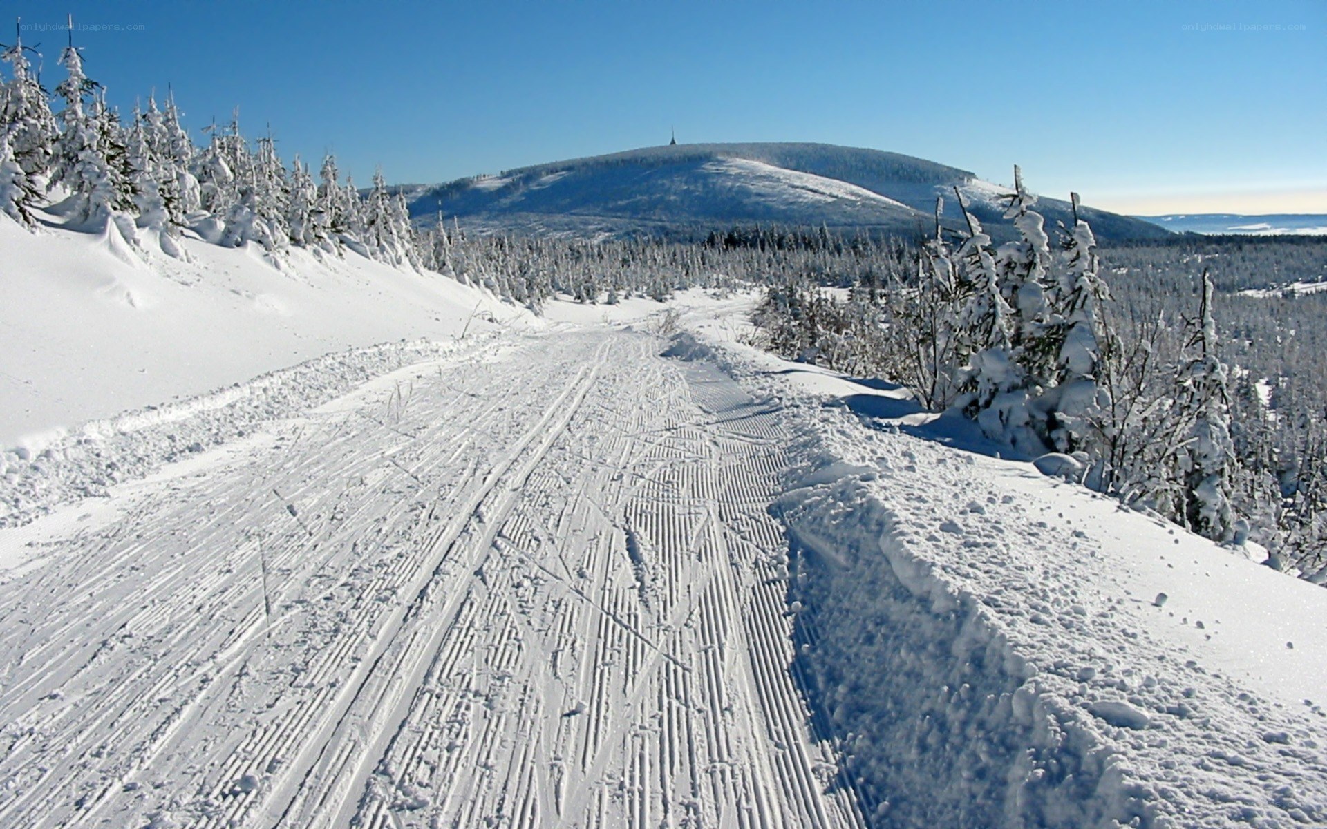 Snowy cross-country ski trail
