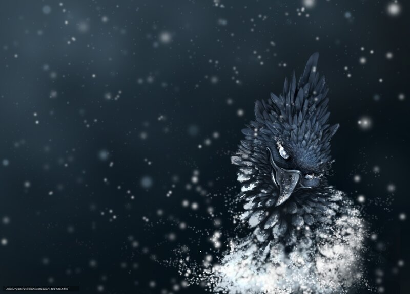 snowy crow in winter