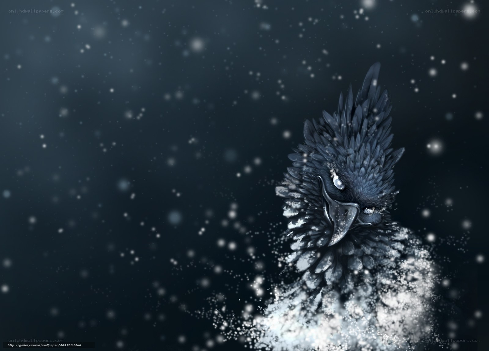 snowy crow in winter