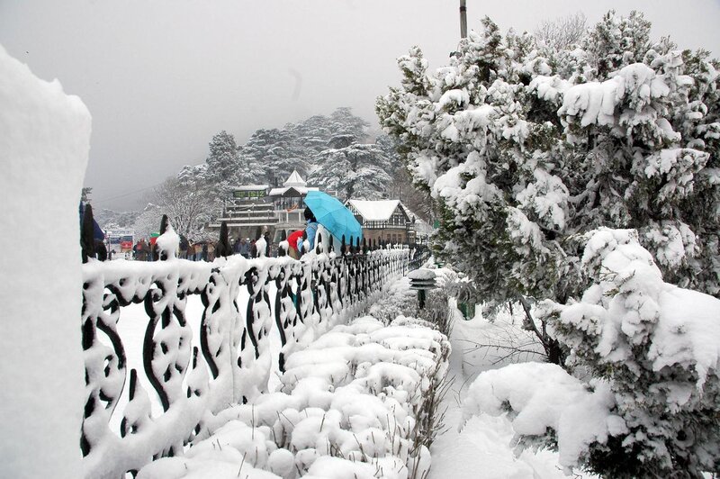 Snowy day in Shimla