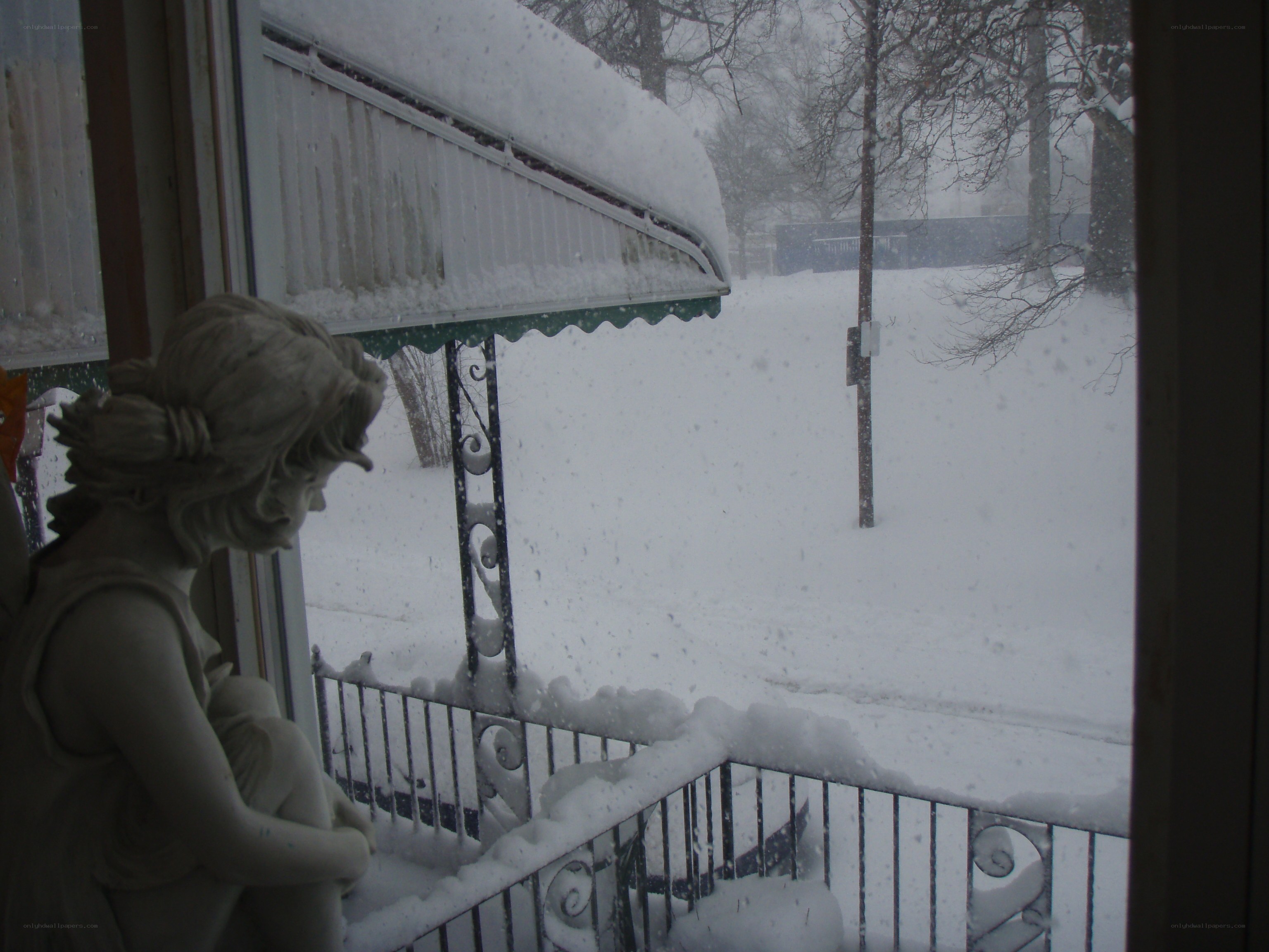 Snowy day view from porch
