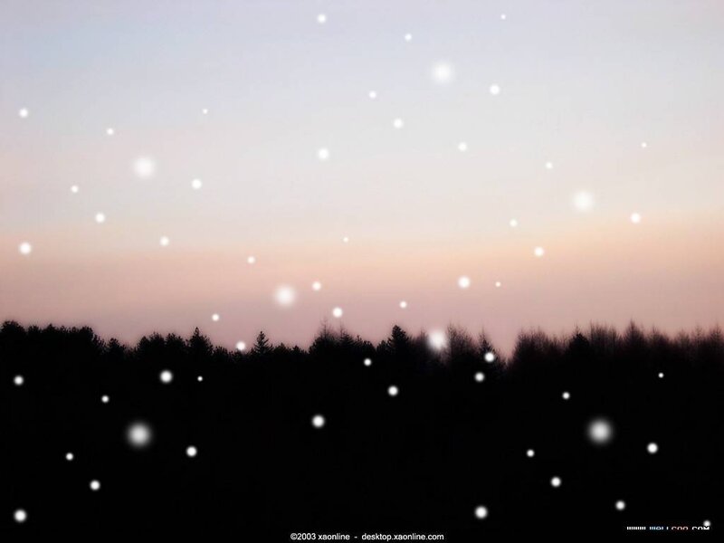 snowy dusk forest