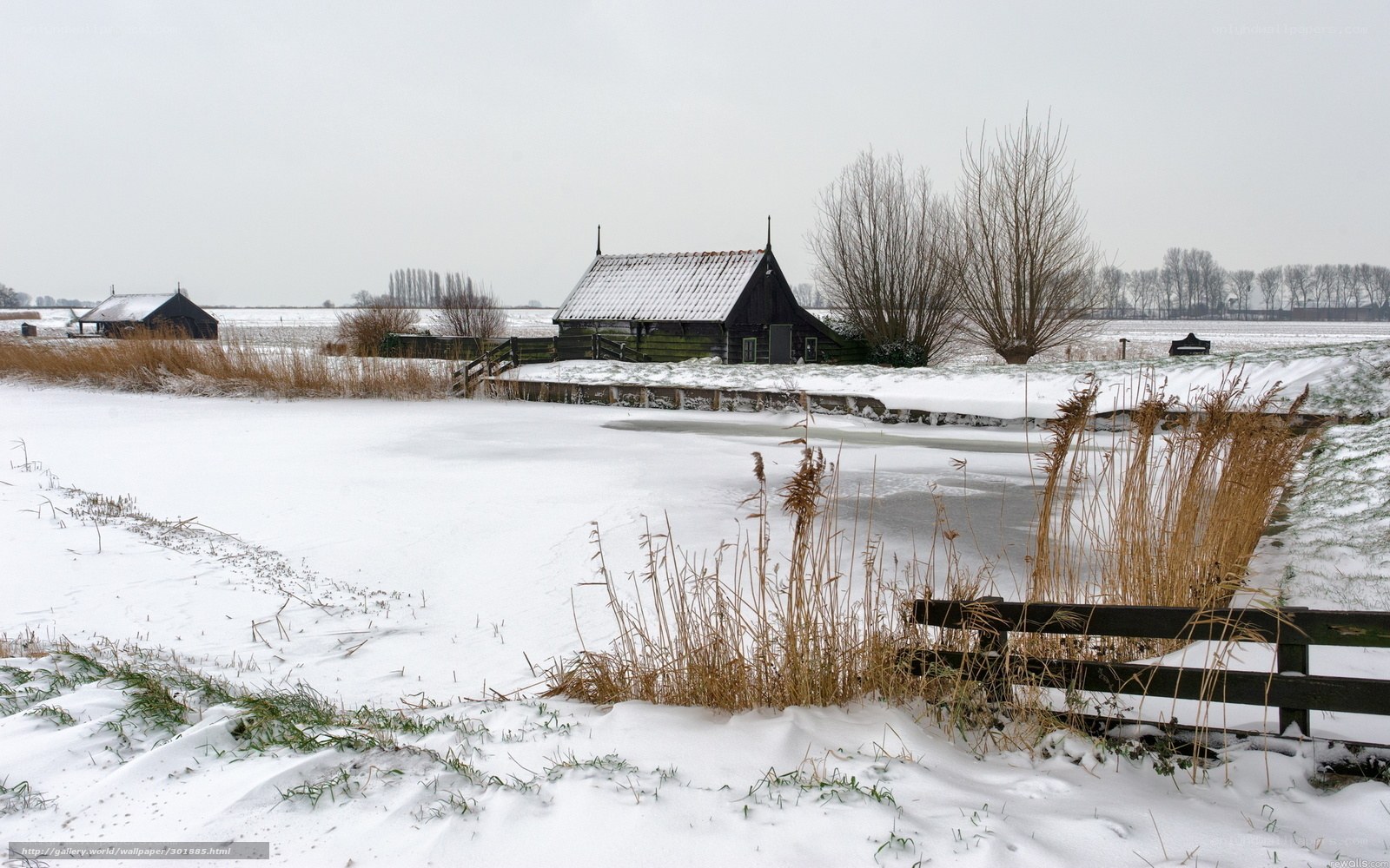Snowy Dutch landscape with barns