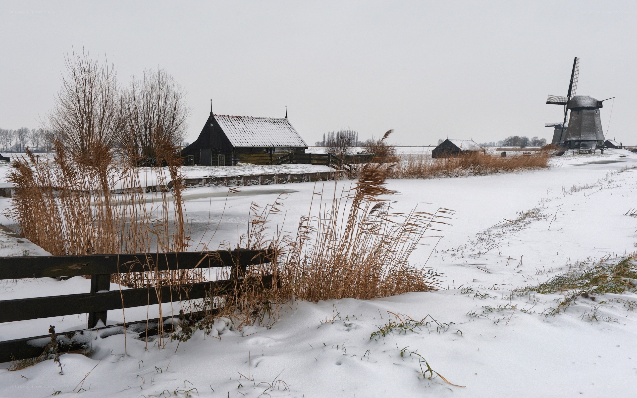 Snowy Dutch landscape with windmill