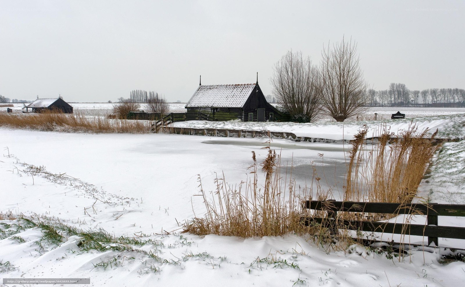 Snowy Dutch landscape