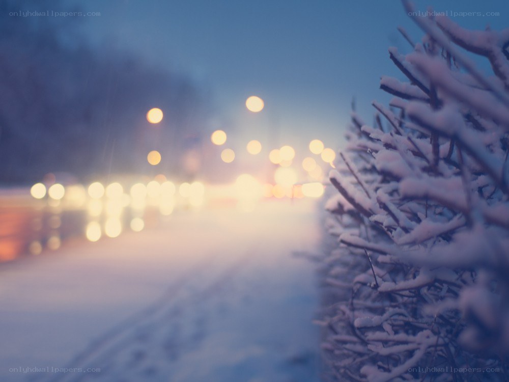Snowy evening with street lights