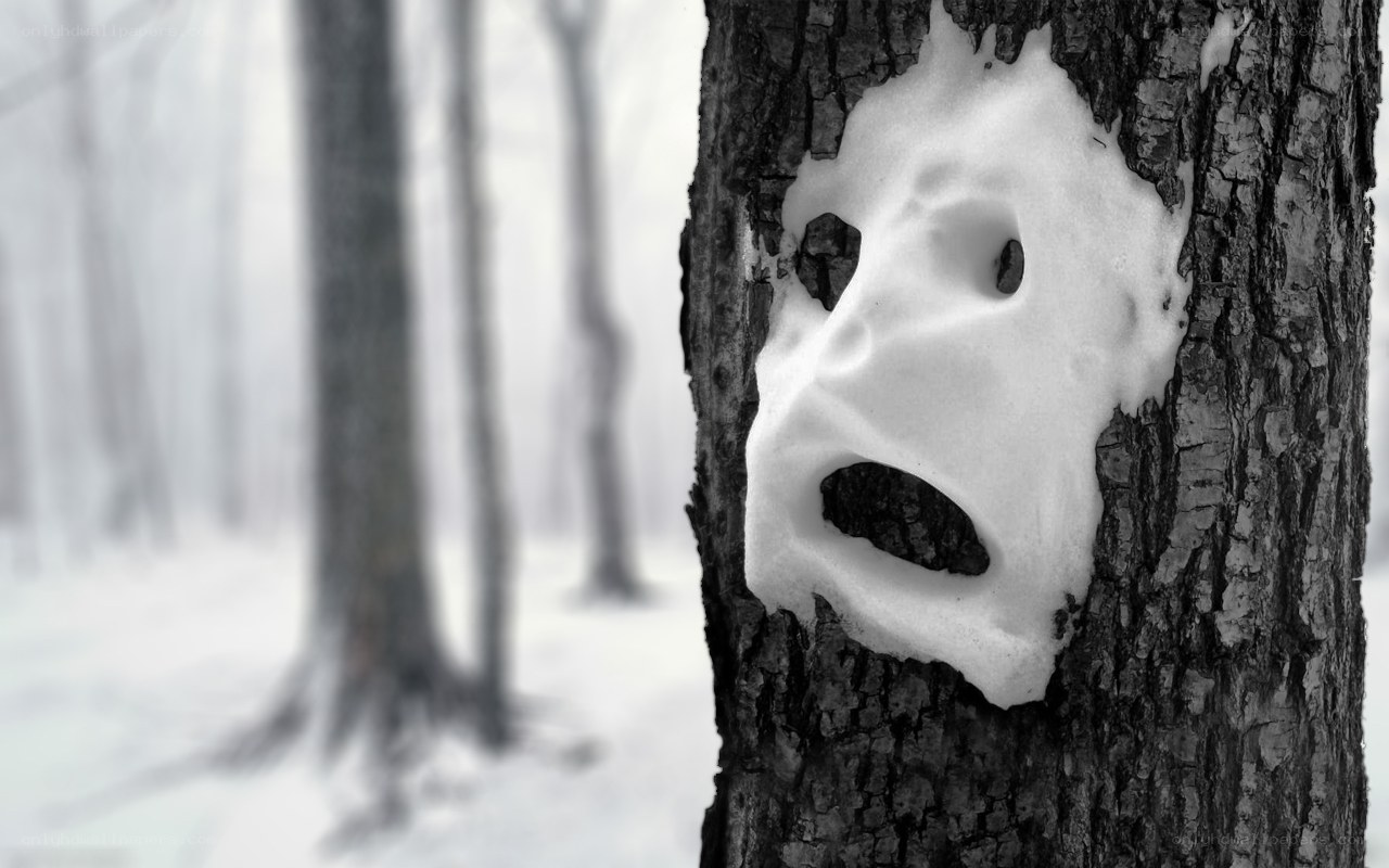 Snowy face on tree trunk