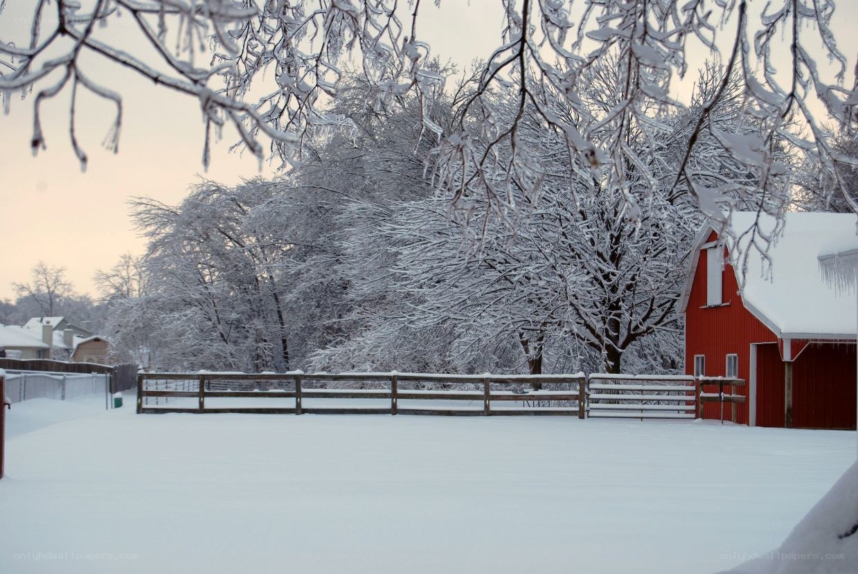 Snowy farm at dusk