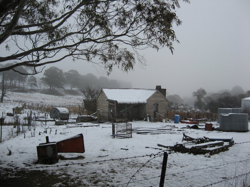 Snowy farm in fog