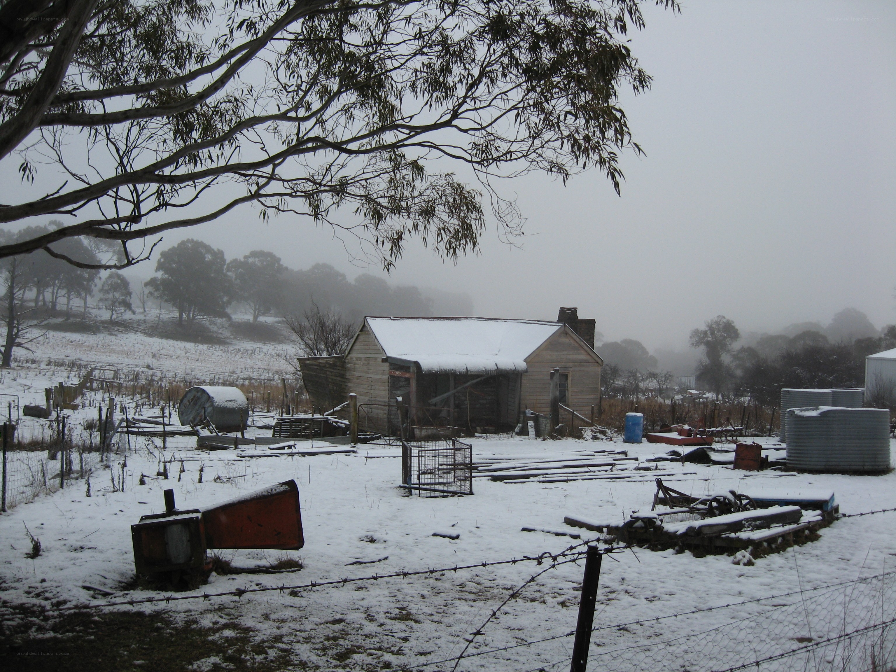 Snowy farm in fog