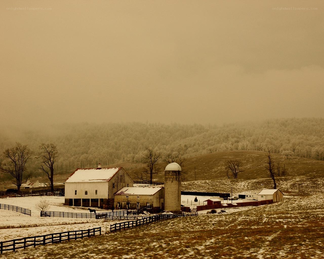 Snowy farm in mist