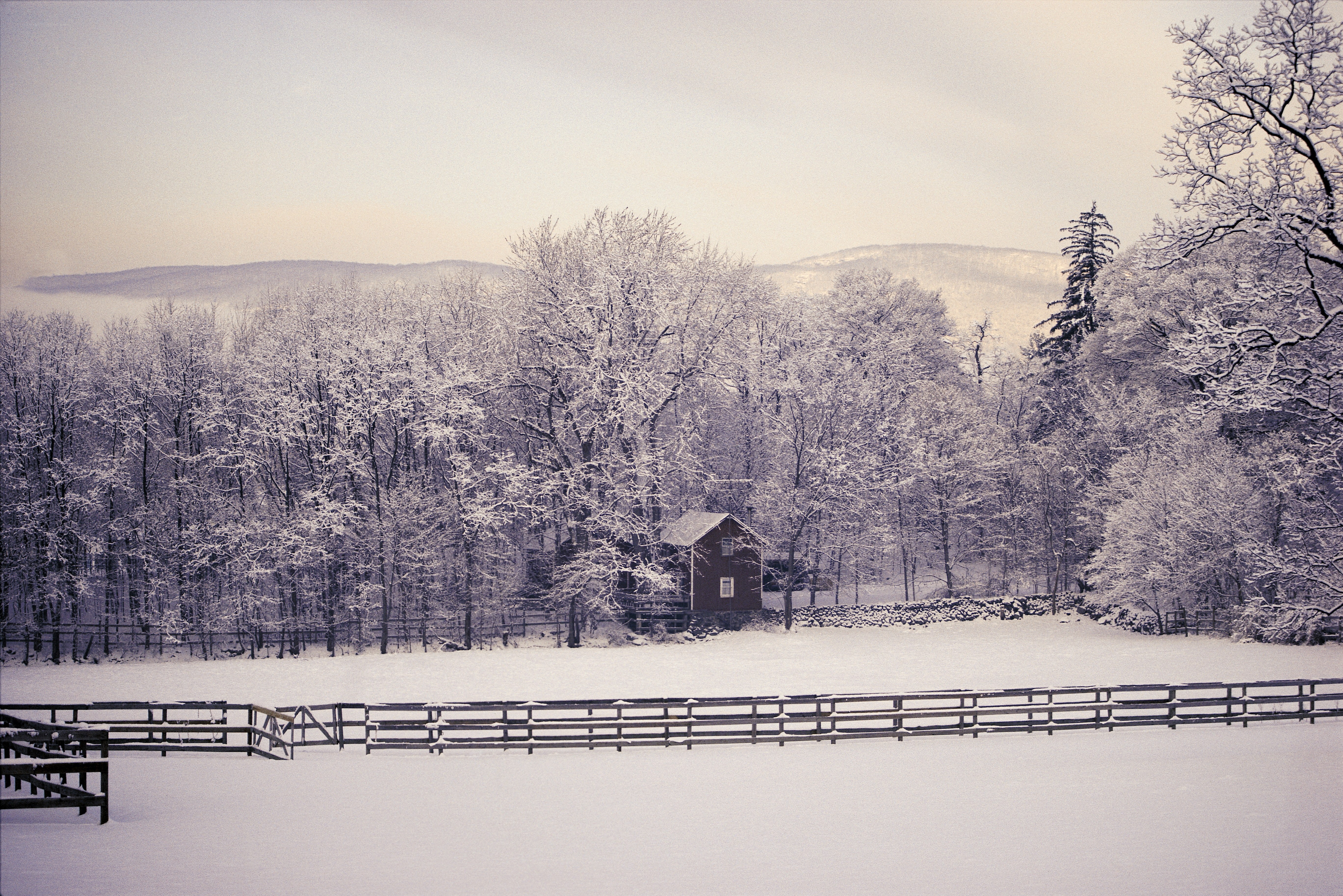Snowy farm in winter
