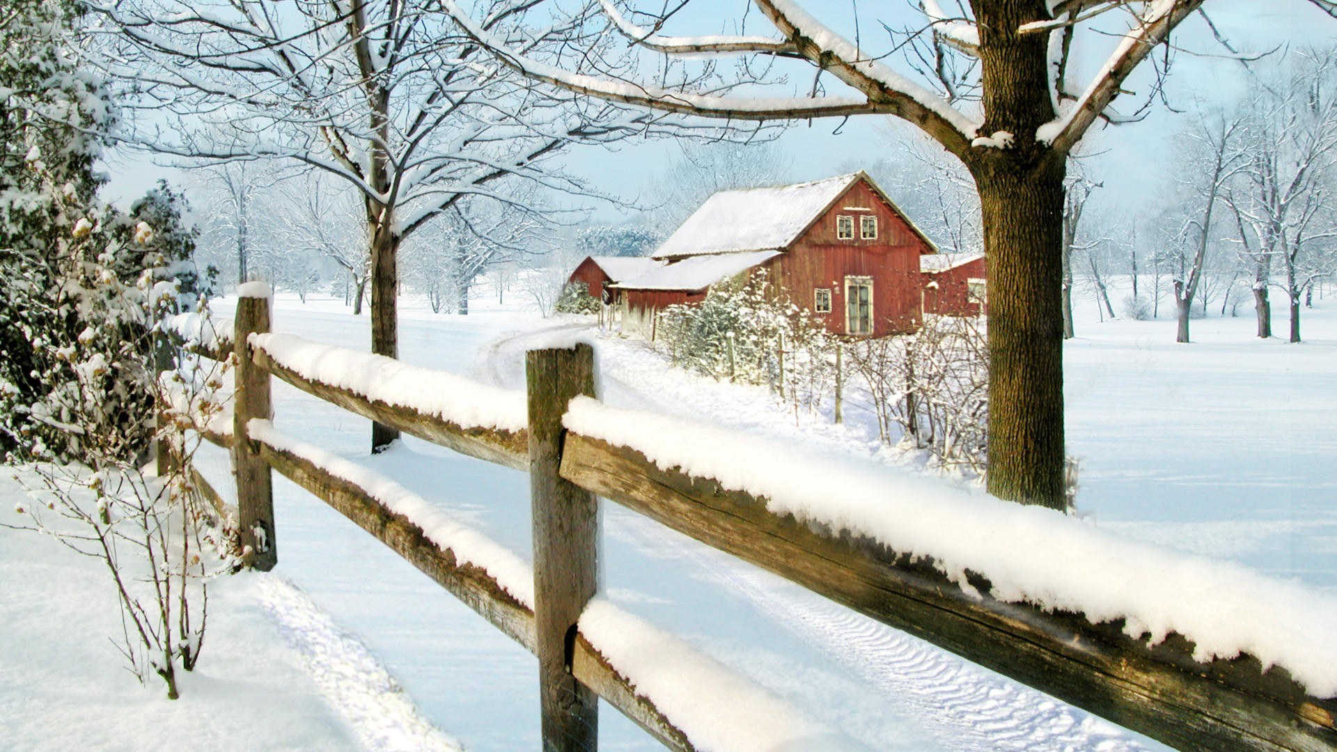 Snowy farm in winter