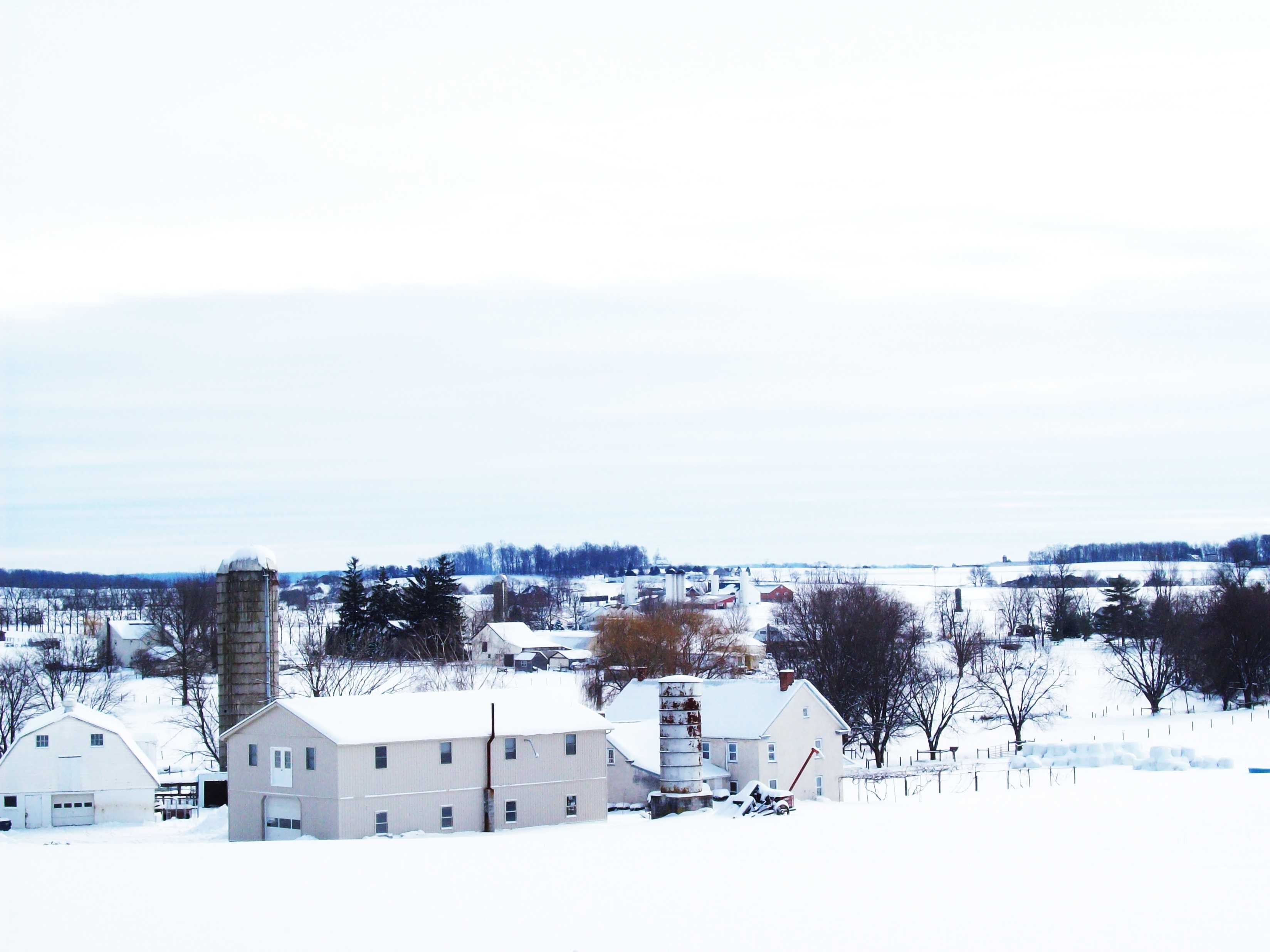 Snowy farm in winter