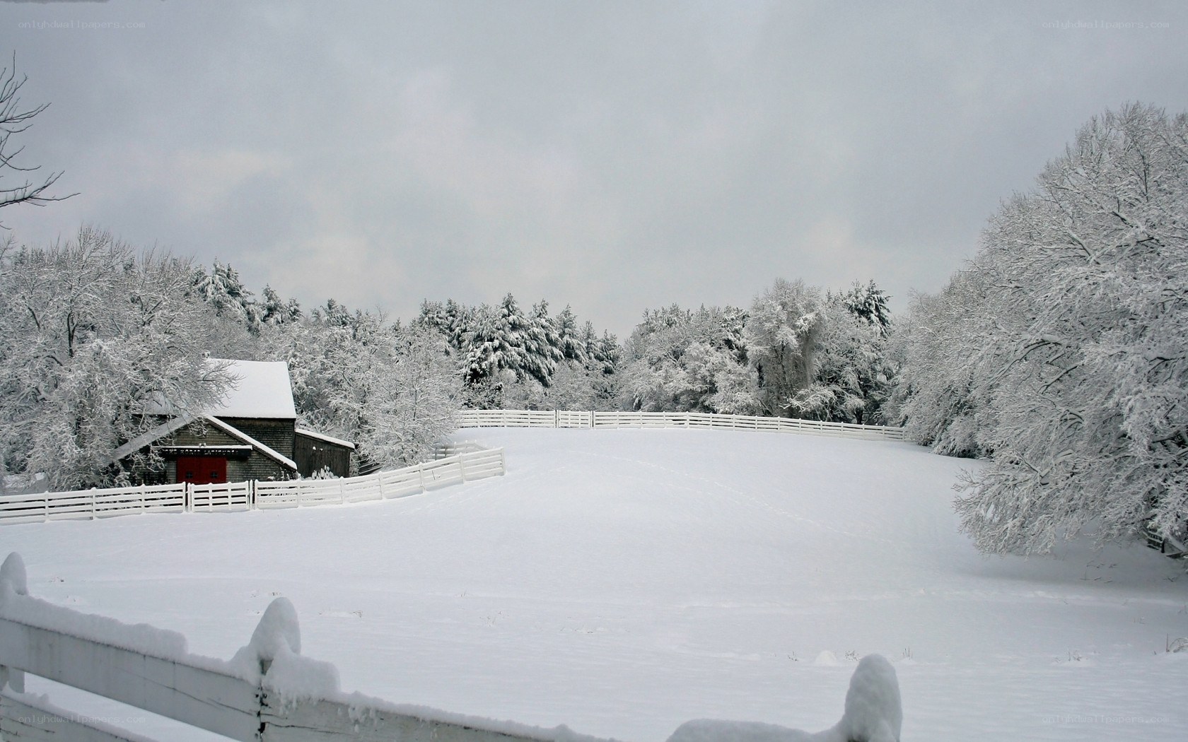 Snowy farm in winter