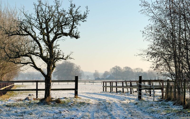 Snowy farm path at dawn