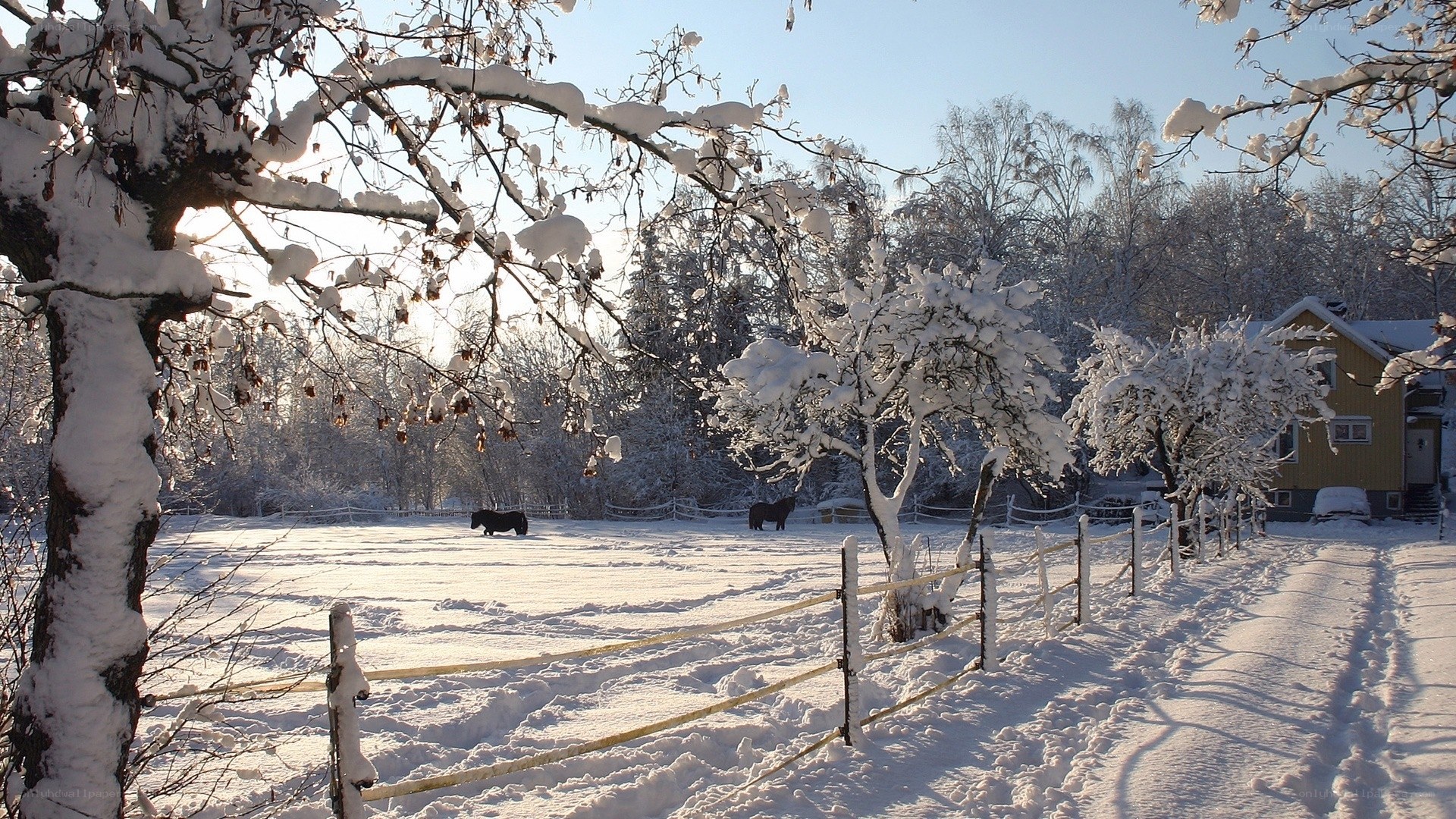 Snowy farm with horses