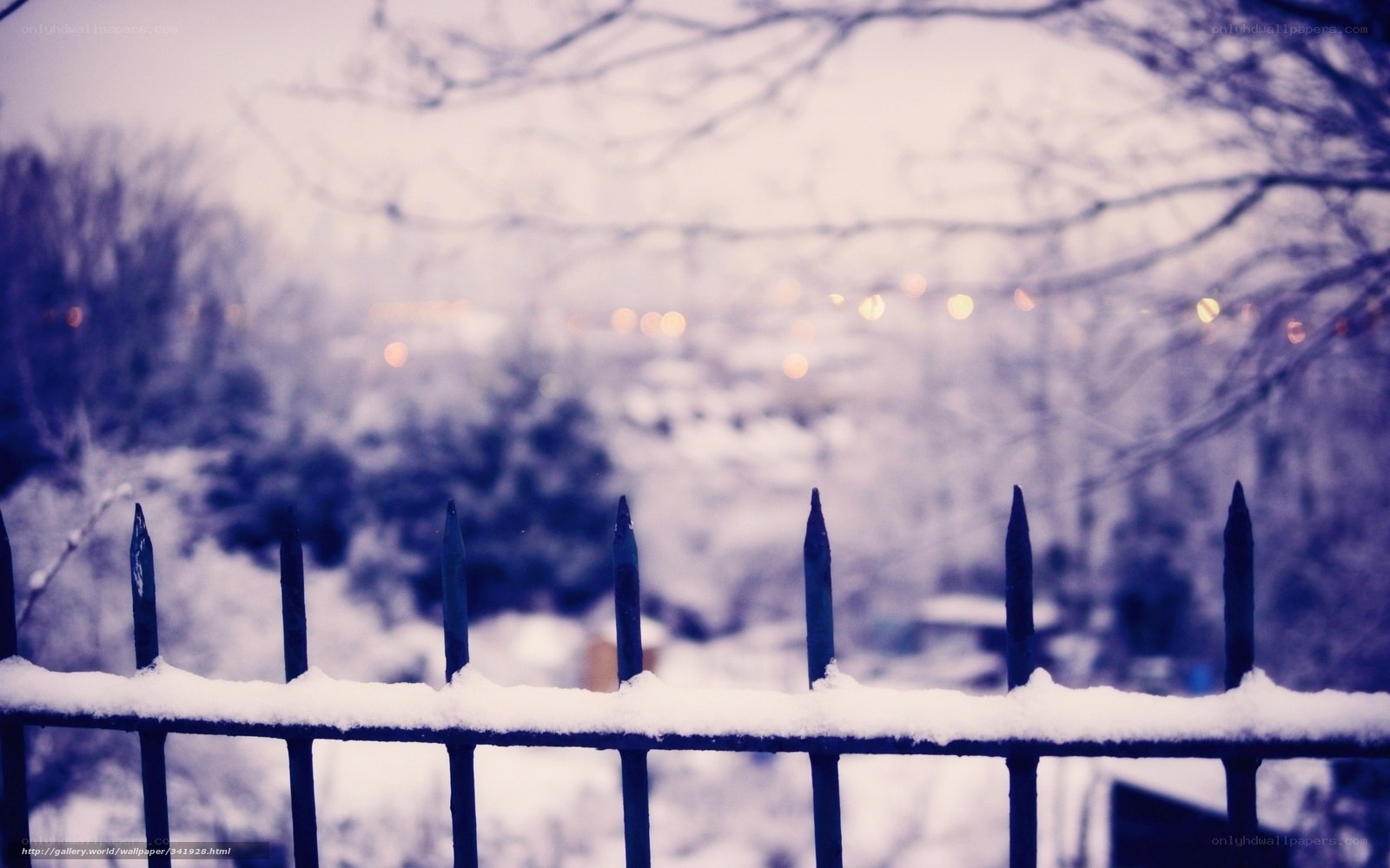 Snowy fence at dusk