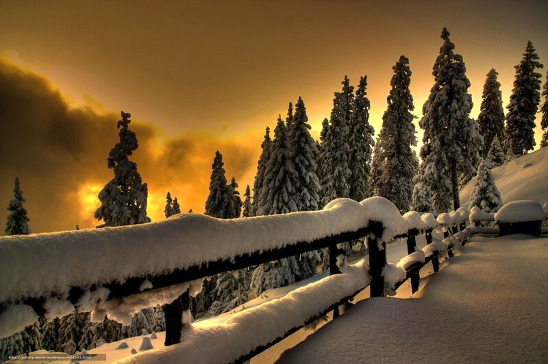 Snowy fence at sunset
