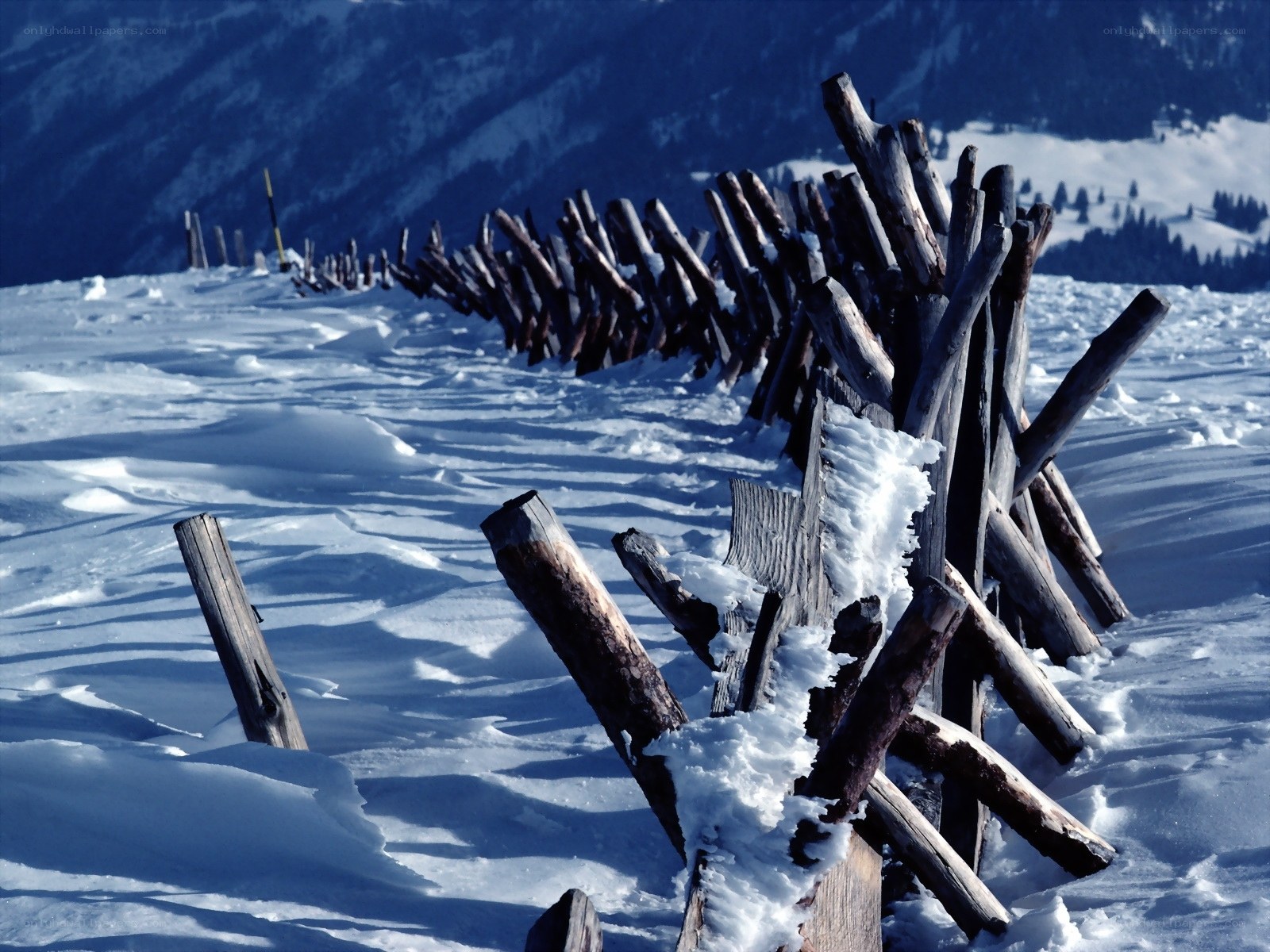 Snowy fence in mountain landscape