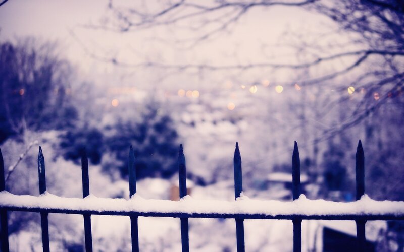 Snowy fence in winter