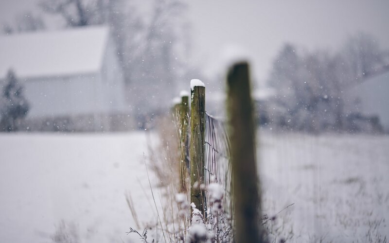 Snowy fence in winter