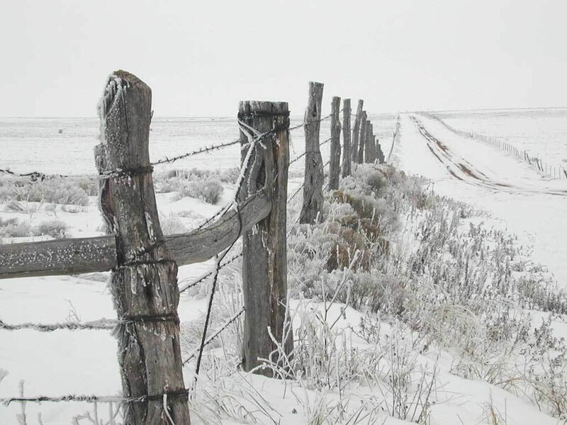 Snowy fence in winter landscape