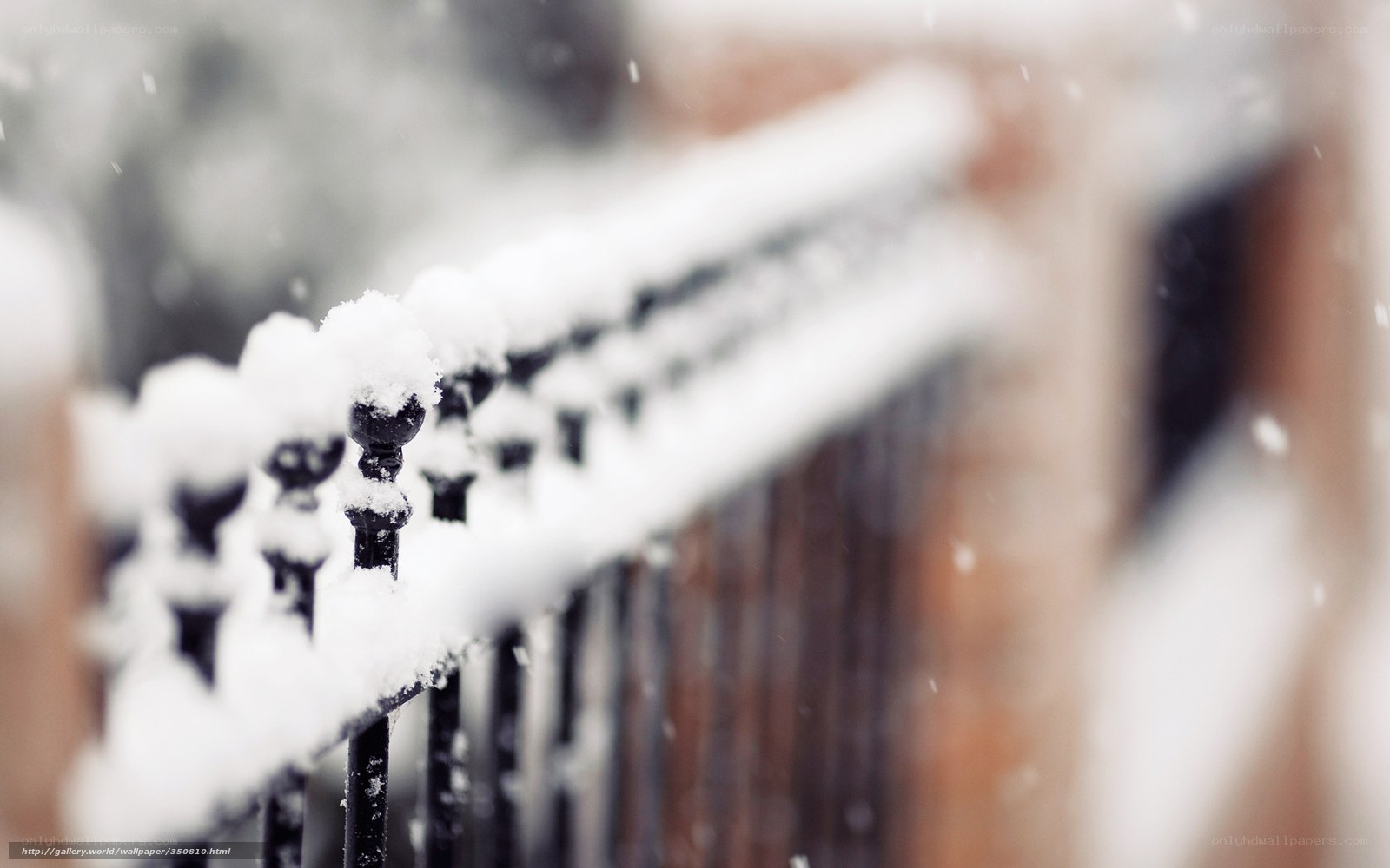 Snowy fence in winter
