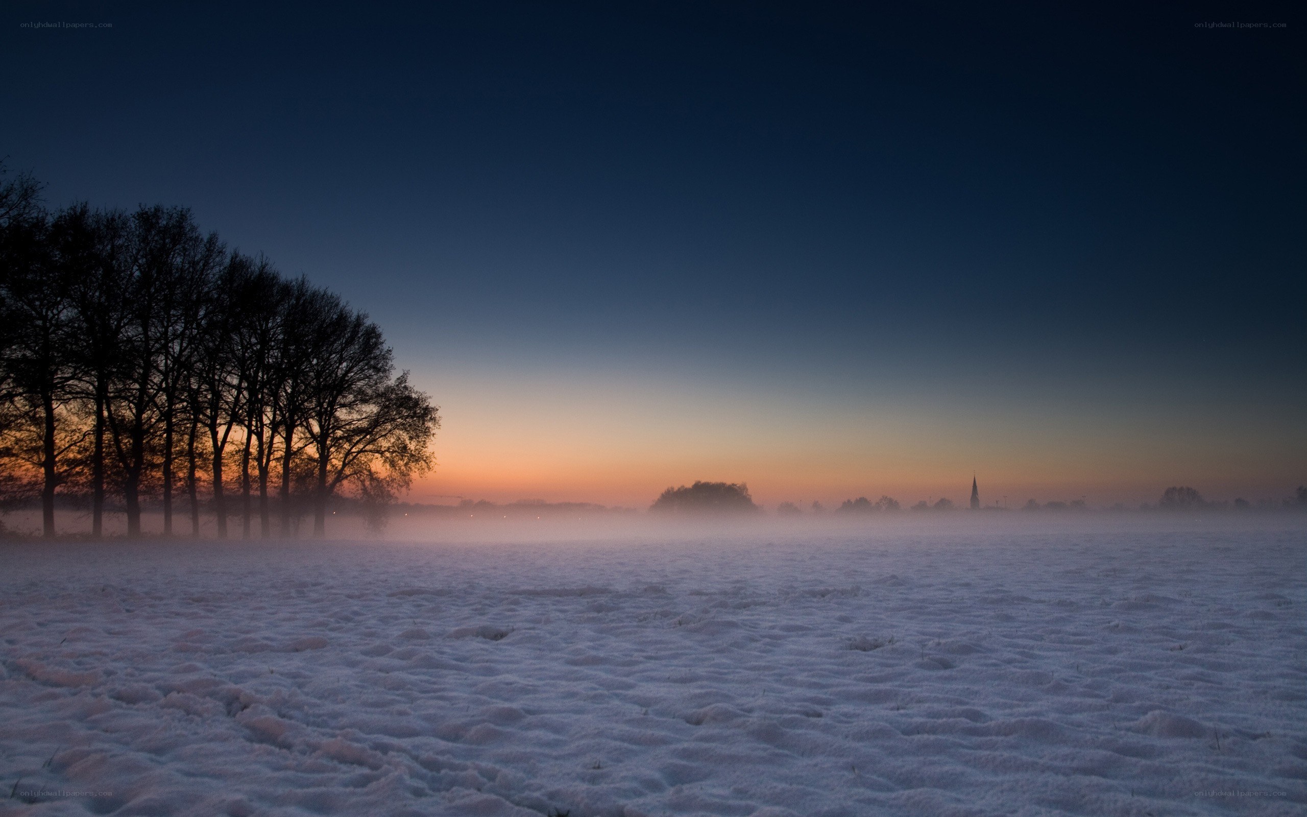 Snowy field at dawn