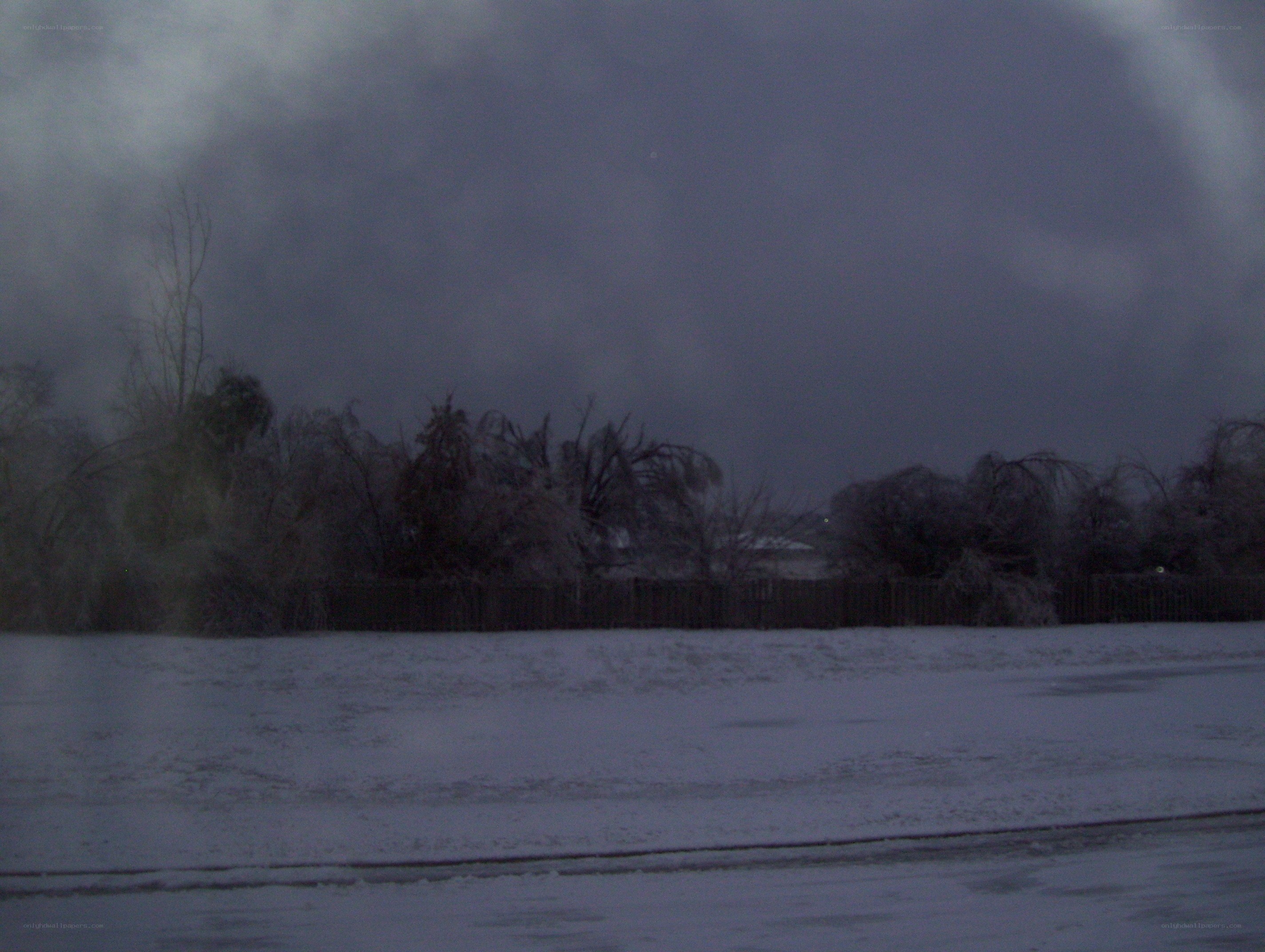 snowy field at dusk