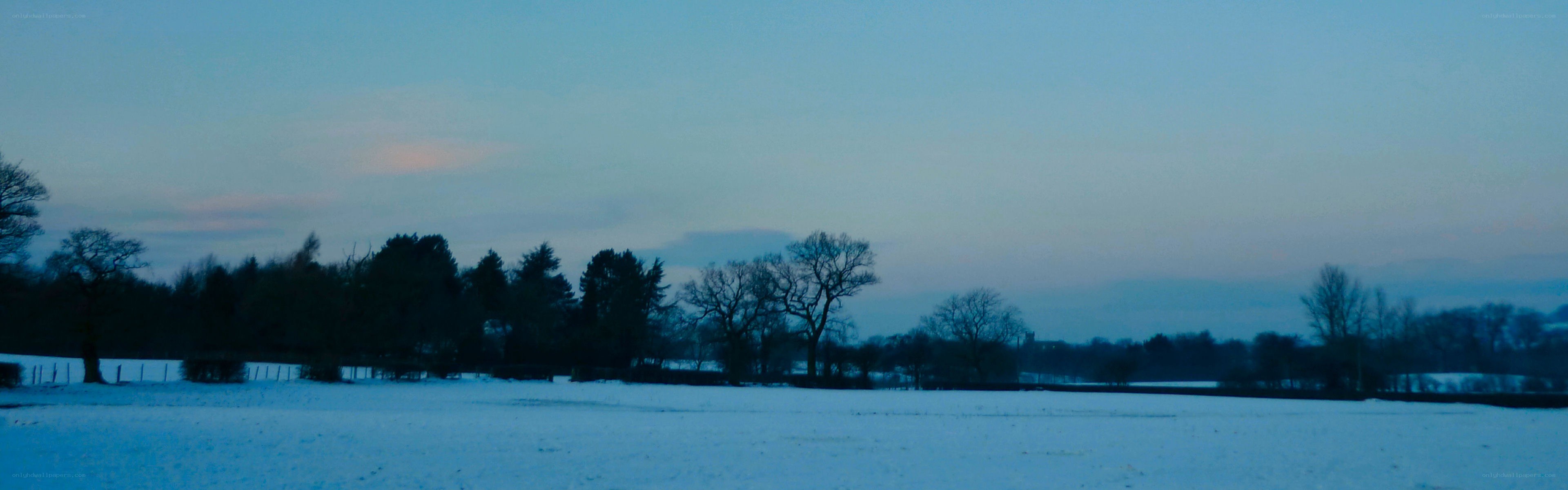 Snowy field at dusk