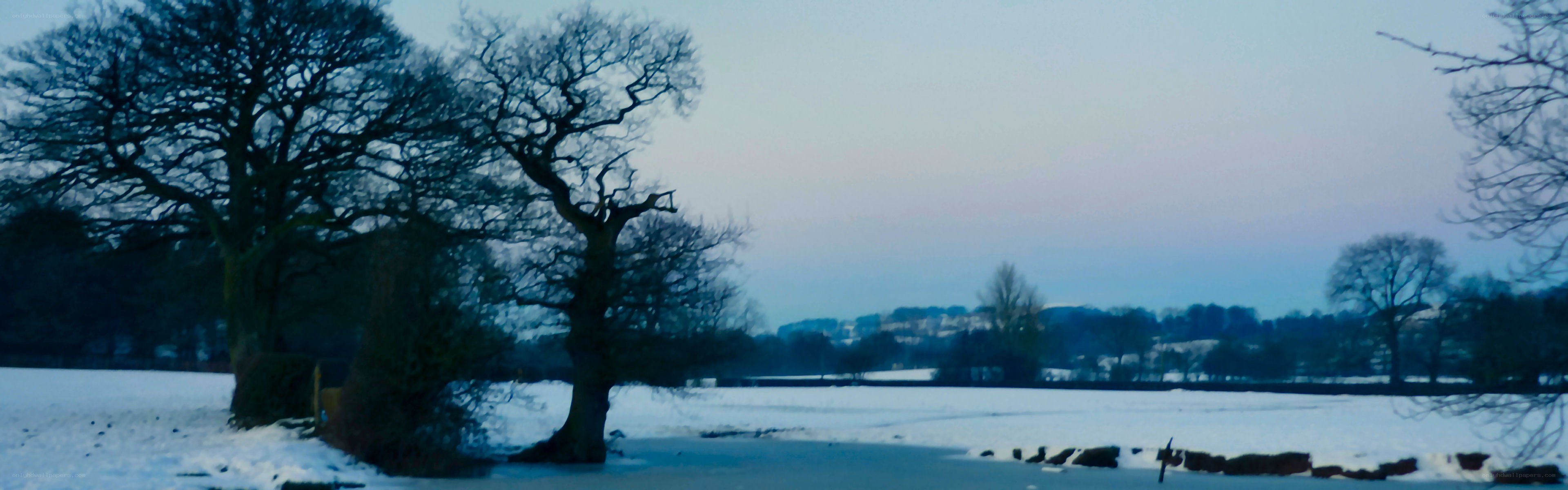 snowy field at dusk