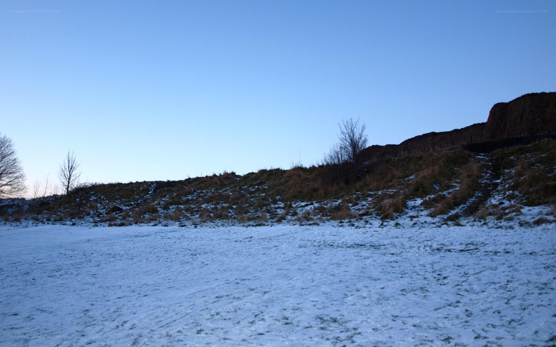 snowy field at dusk
