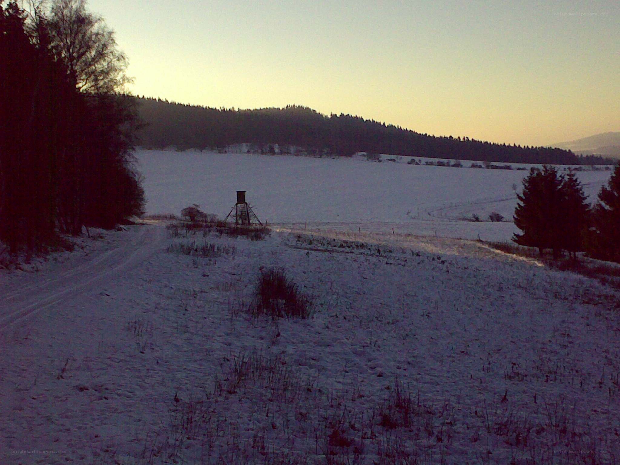 Snowy field at dusk