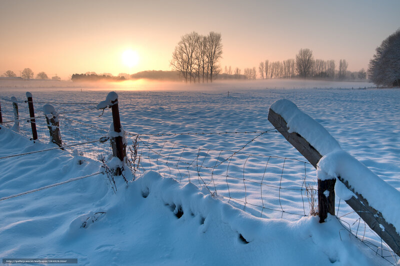 Snowy field at sunrise