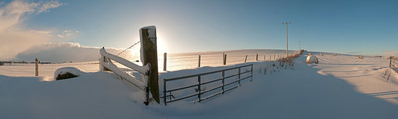 Snowy field at sunrise