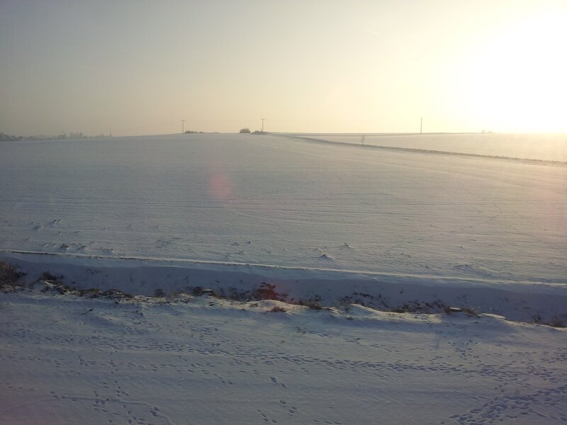 Snowy field at sunrise
