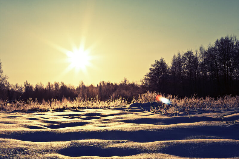 Snowy Field at Sunrise — Yellow, Serene