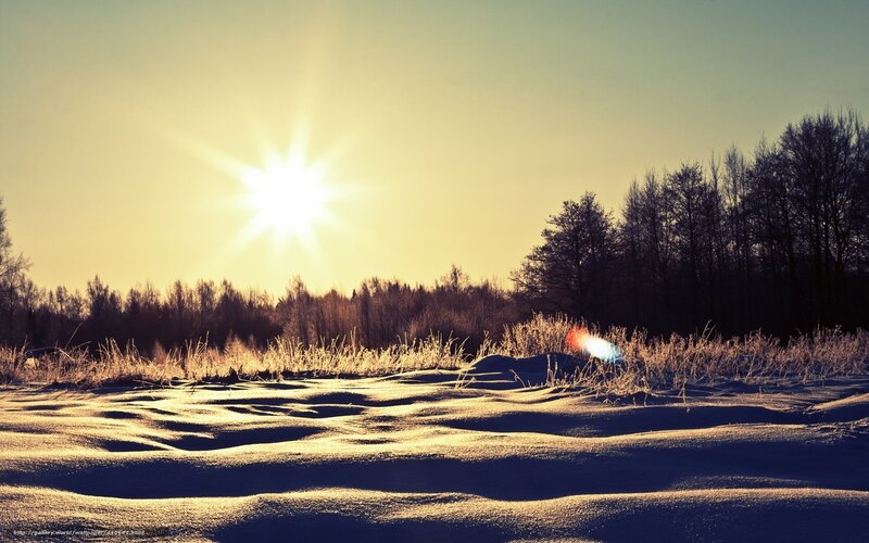 Snowy Field at Sunrise — Yellow, Serene, Winter, Photograph