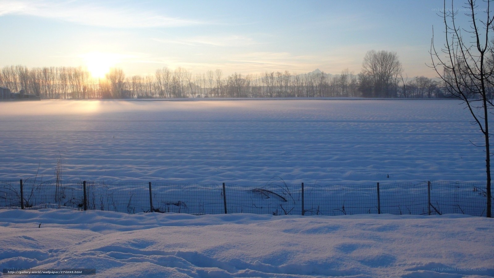 Snowy field at sunrise