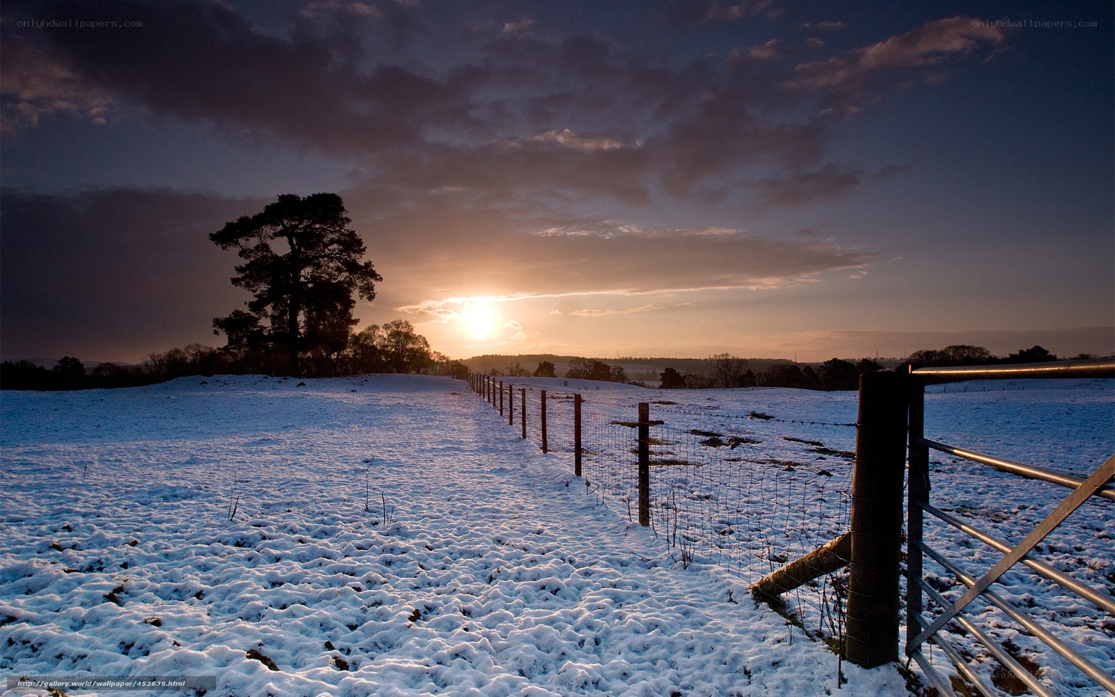 Snowy field at sunset