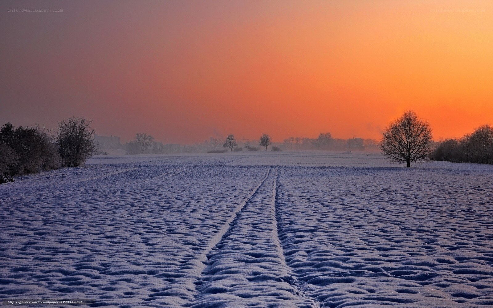 Snowy field at sunset