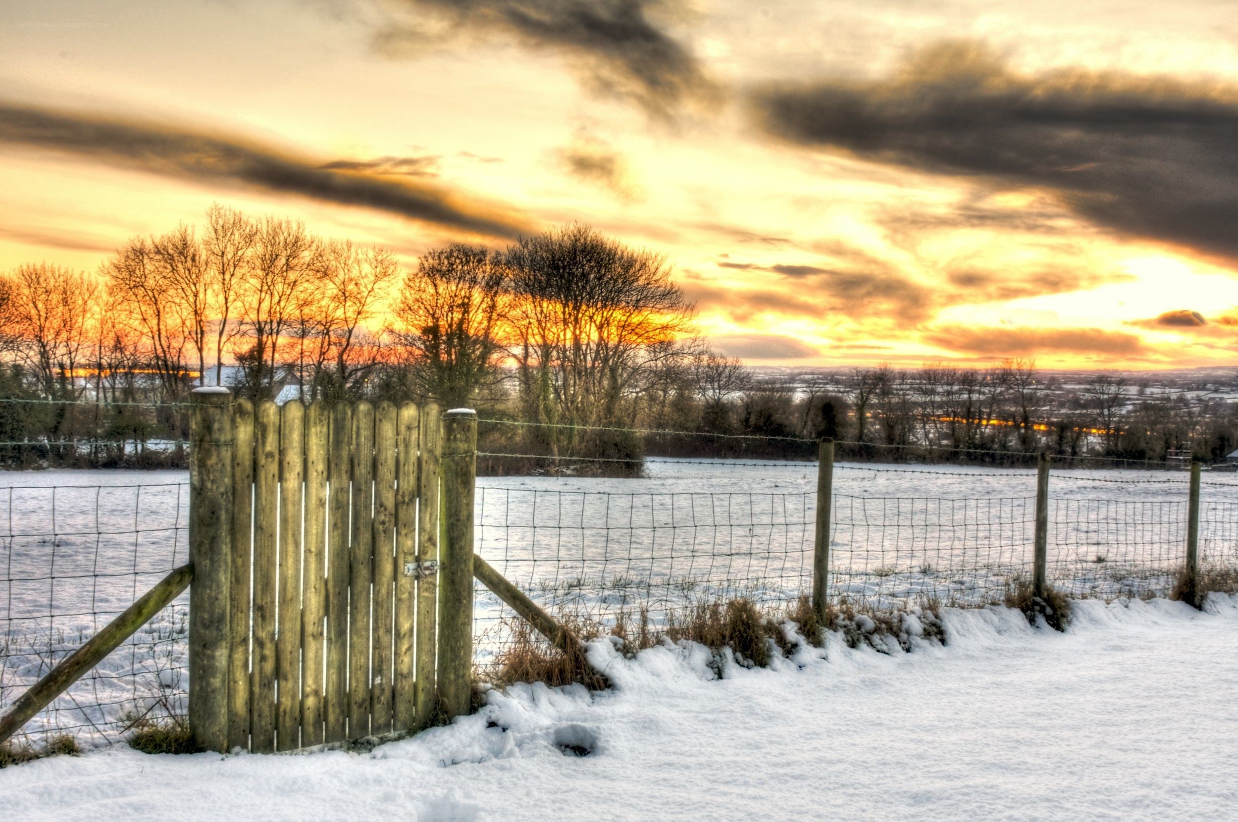 Snowy Field at Sunset