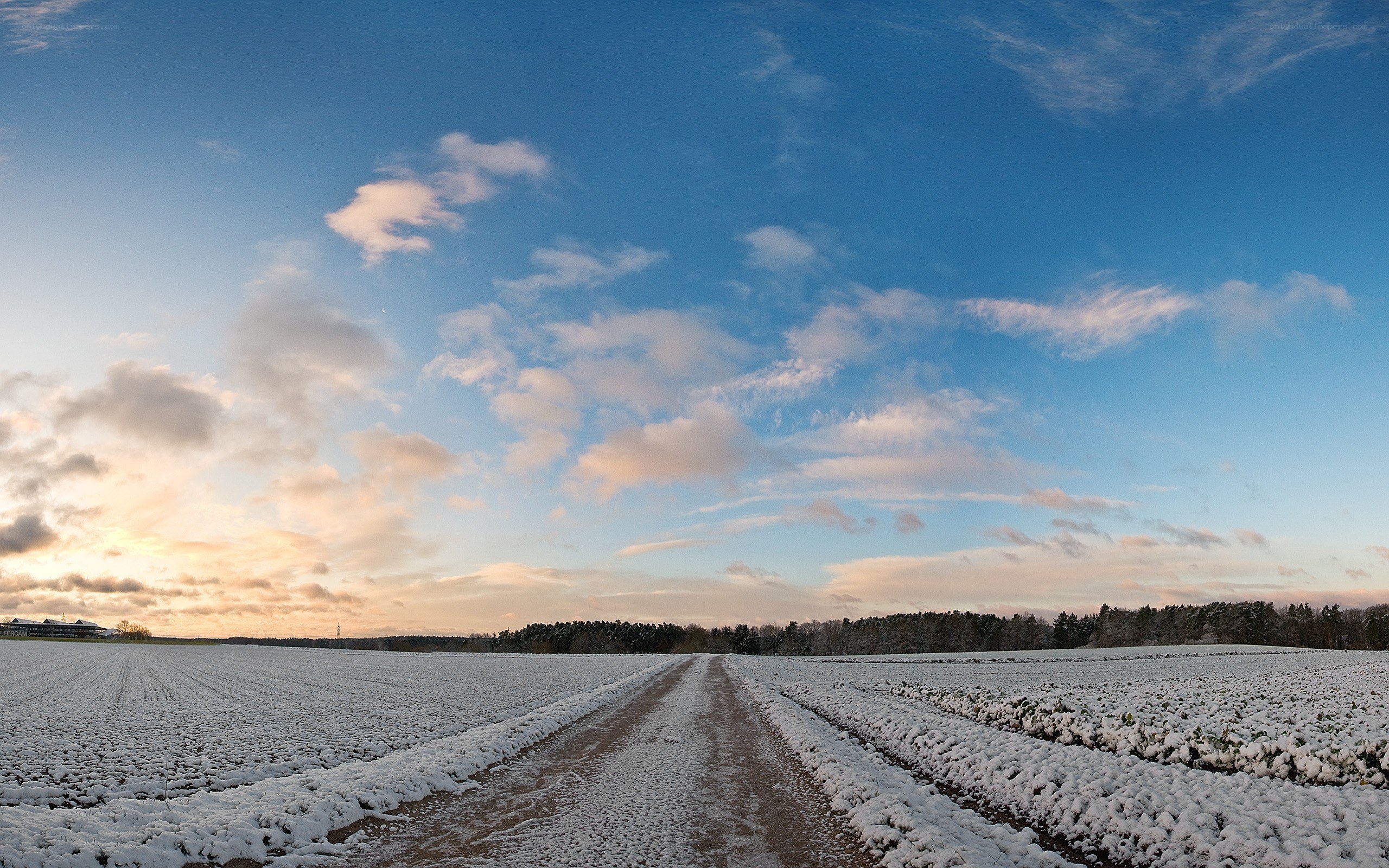 Snowy field at sunset