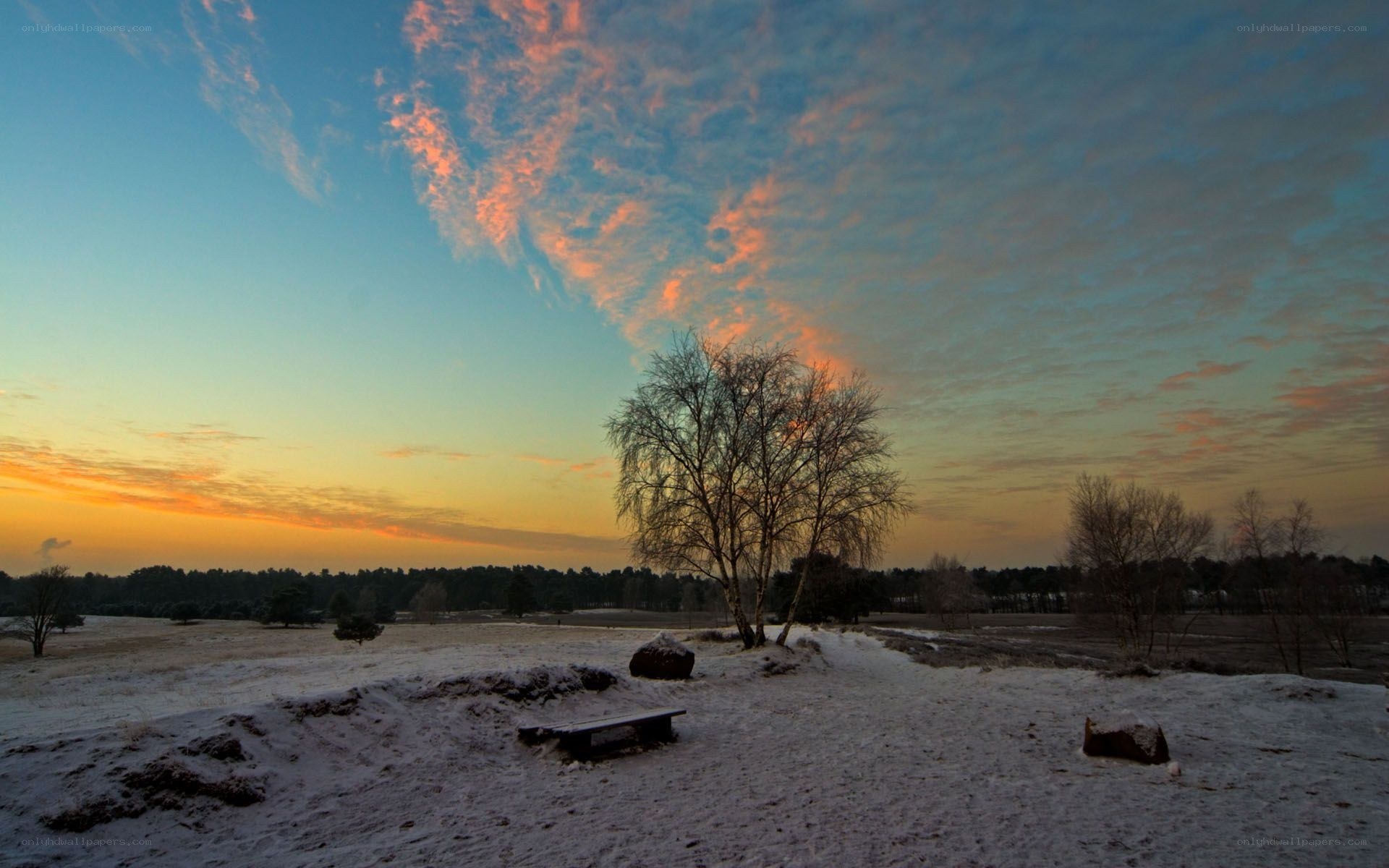 Snowy field at sunset