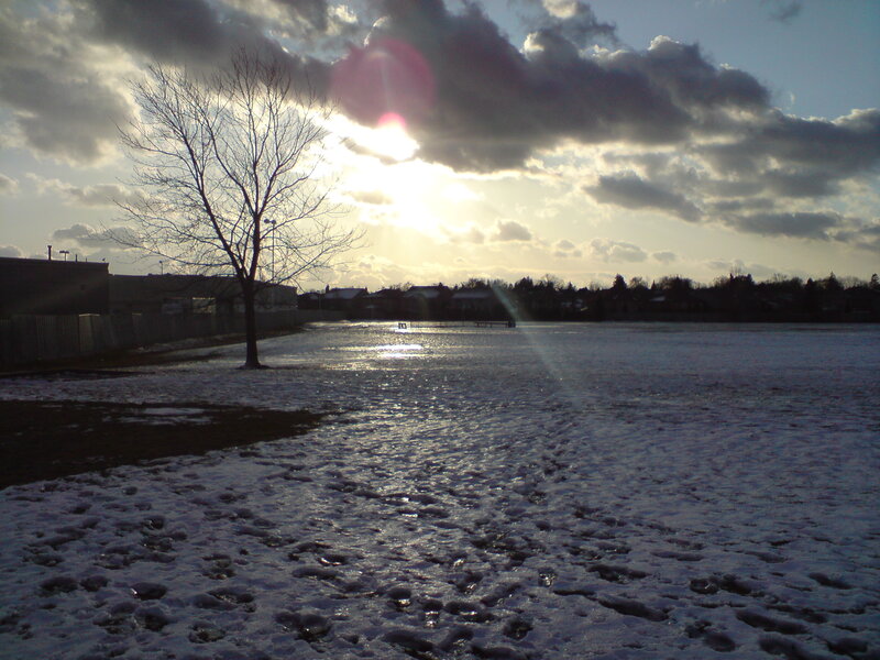 snowy field at sunset