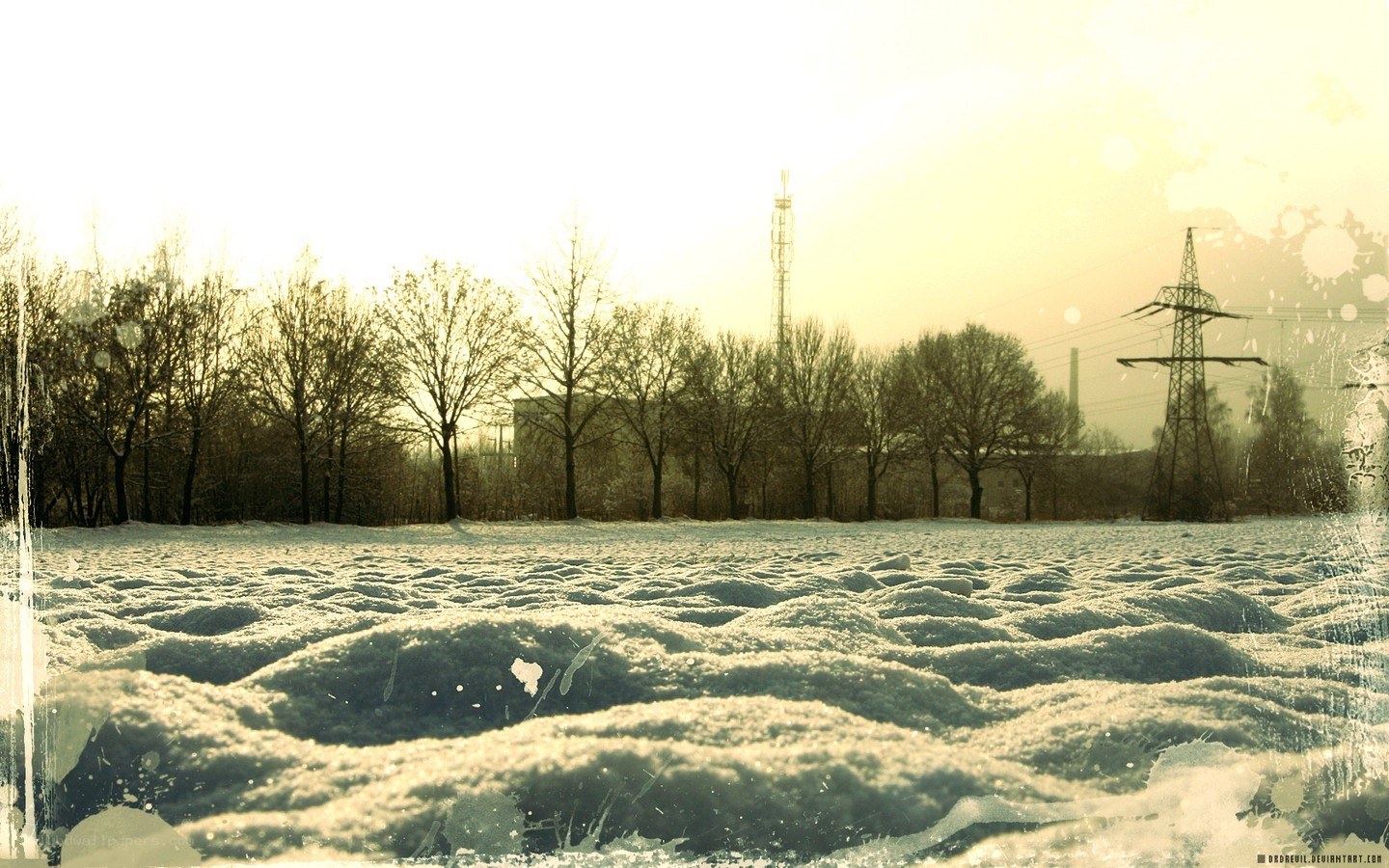 Snowy field at sunset