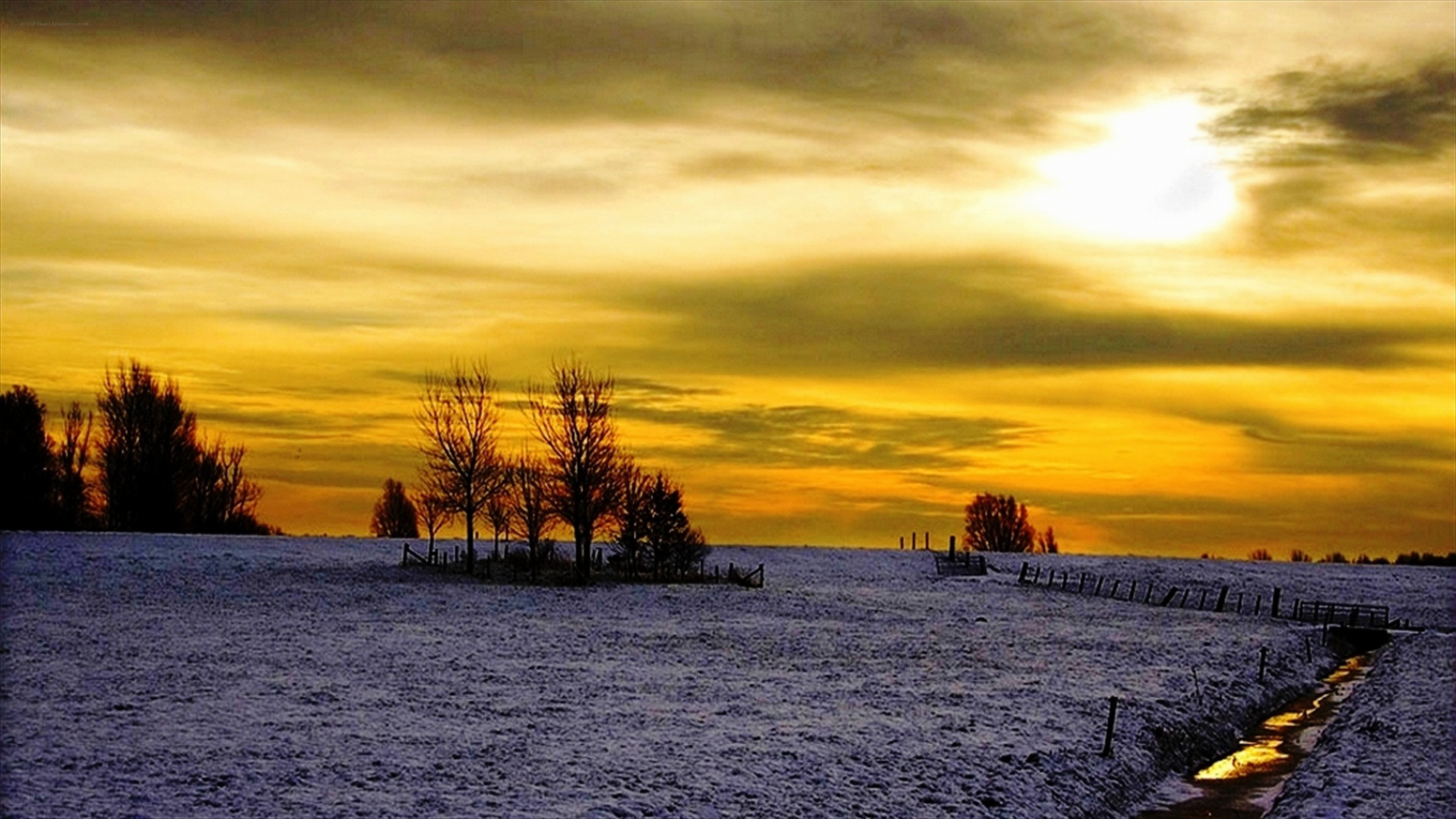 Snowy field at sunset